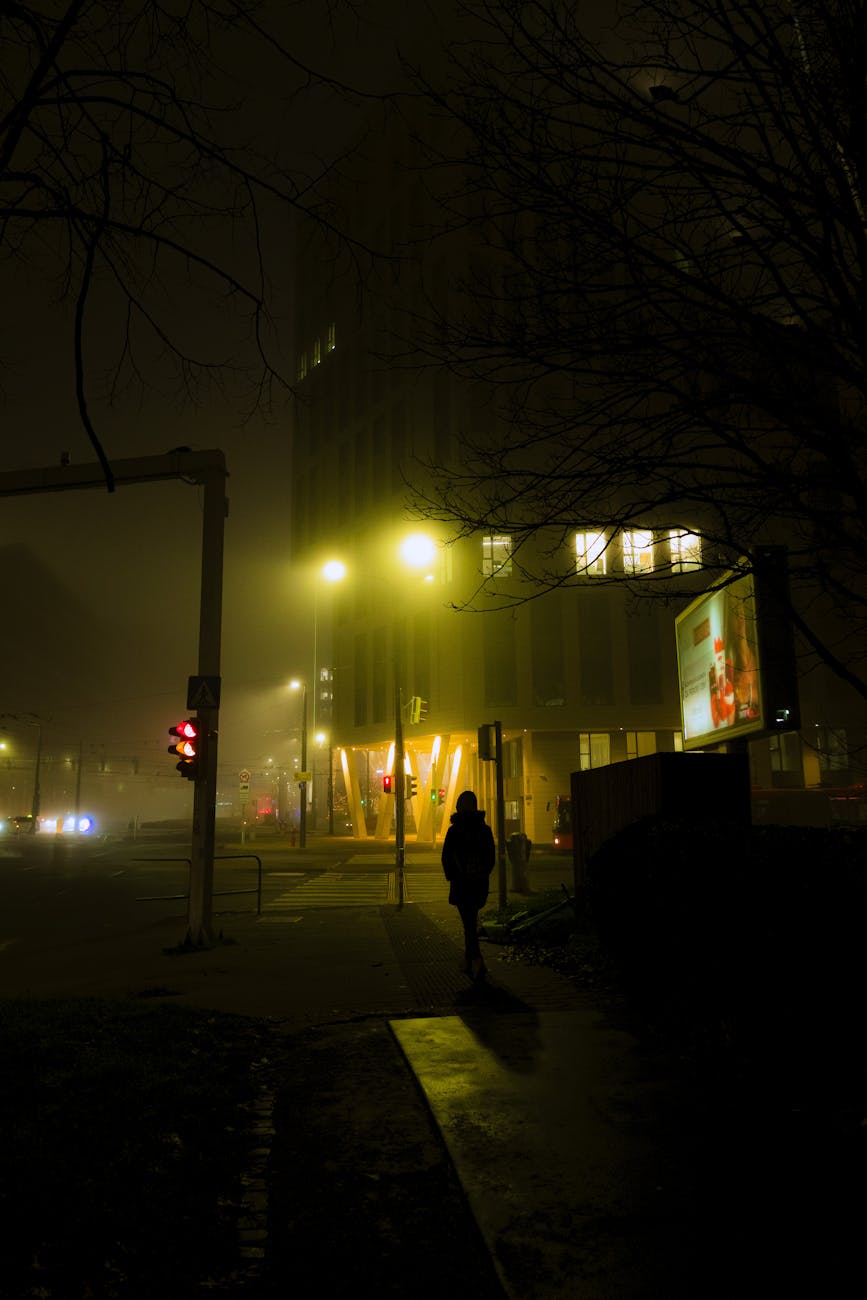 POSLEDNJI DAN JANUARA